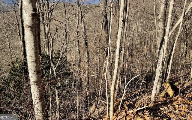 $45,000 | Lot 63 Dan Knob, Hayesville, NC 28904