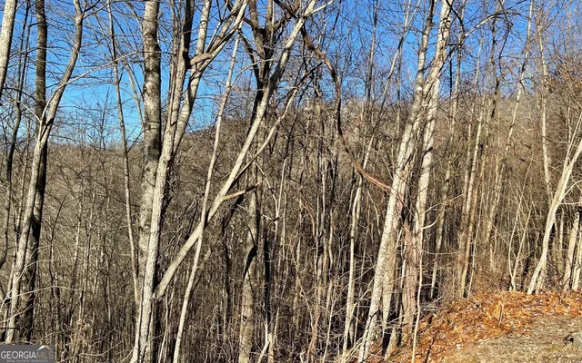 $45,000 | Lot 63 Dan Knob, Hayesville, NC 28904