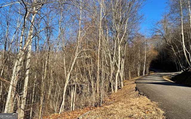 $45,000 | Lot 63 Dan Knob, Hayesville, NC 28904