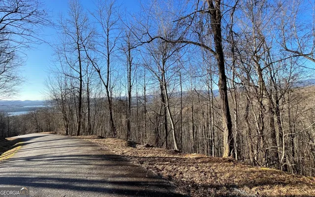 $45,000 | Lot 63 Dan Knob, Hayesville, NC 28904