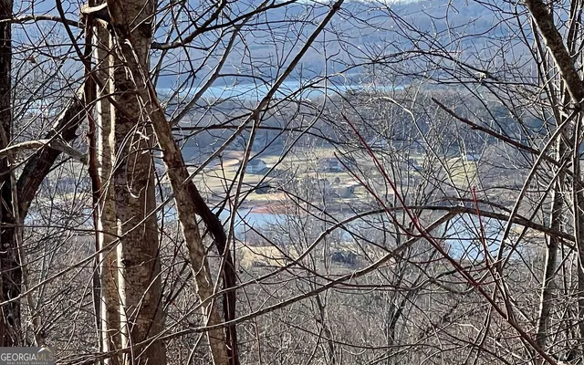 $45,000 | Lot 63 Dan Knob, Hayesville, NC 28904