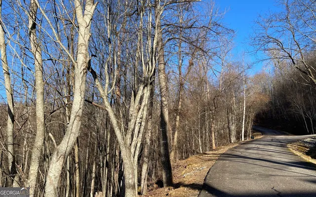 $45,000 | Lot 63 Dan Knob, Hayesville, NC 28904