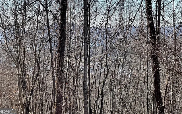 $45,000 | Lot 63 Dan Knob, Hayesville, NC 28904