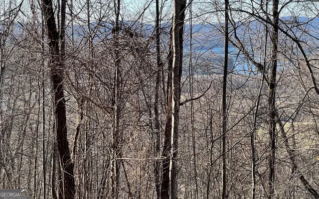 $45,000 | Lot 63 Dan Knob, Hayesville, NC 28904