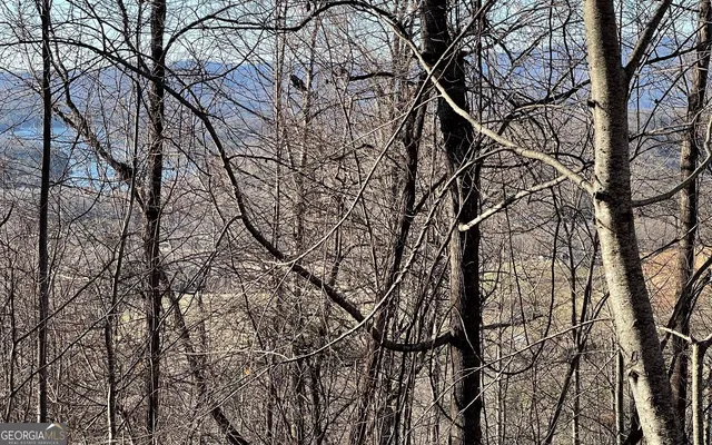 $45,000 | Lot 63 Dan Knob, Hayesville, NC 28904