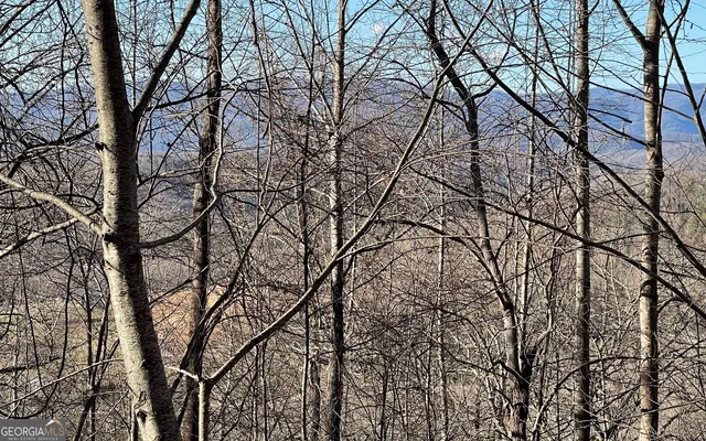 $45,000 | Lot 63 Dan Knob, Hayesville, NC 28904