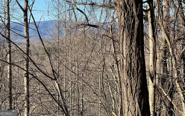 $45,000 | Lot 63 Dan Knob, Hayesville, NC 28904