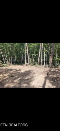 $115,000 | Big Piney Loop, Wilder, TN 38589