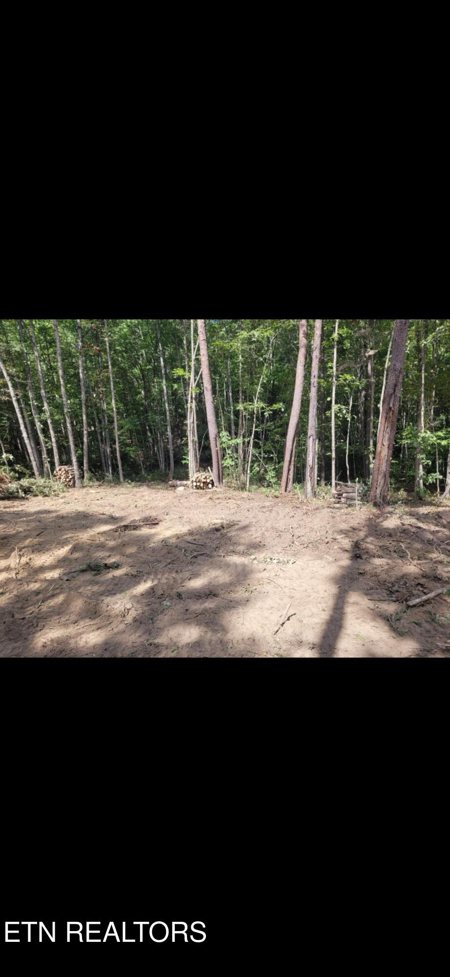 Big Piney Loop Wilder, TN 38589 - Photo 4 of 6 IMG_2027