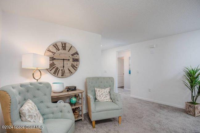 1372 Gibbs Road Southwest Palm Bay, FL 32908 - Photo 17 of 21 1876-019