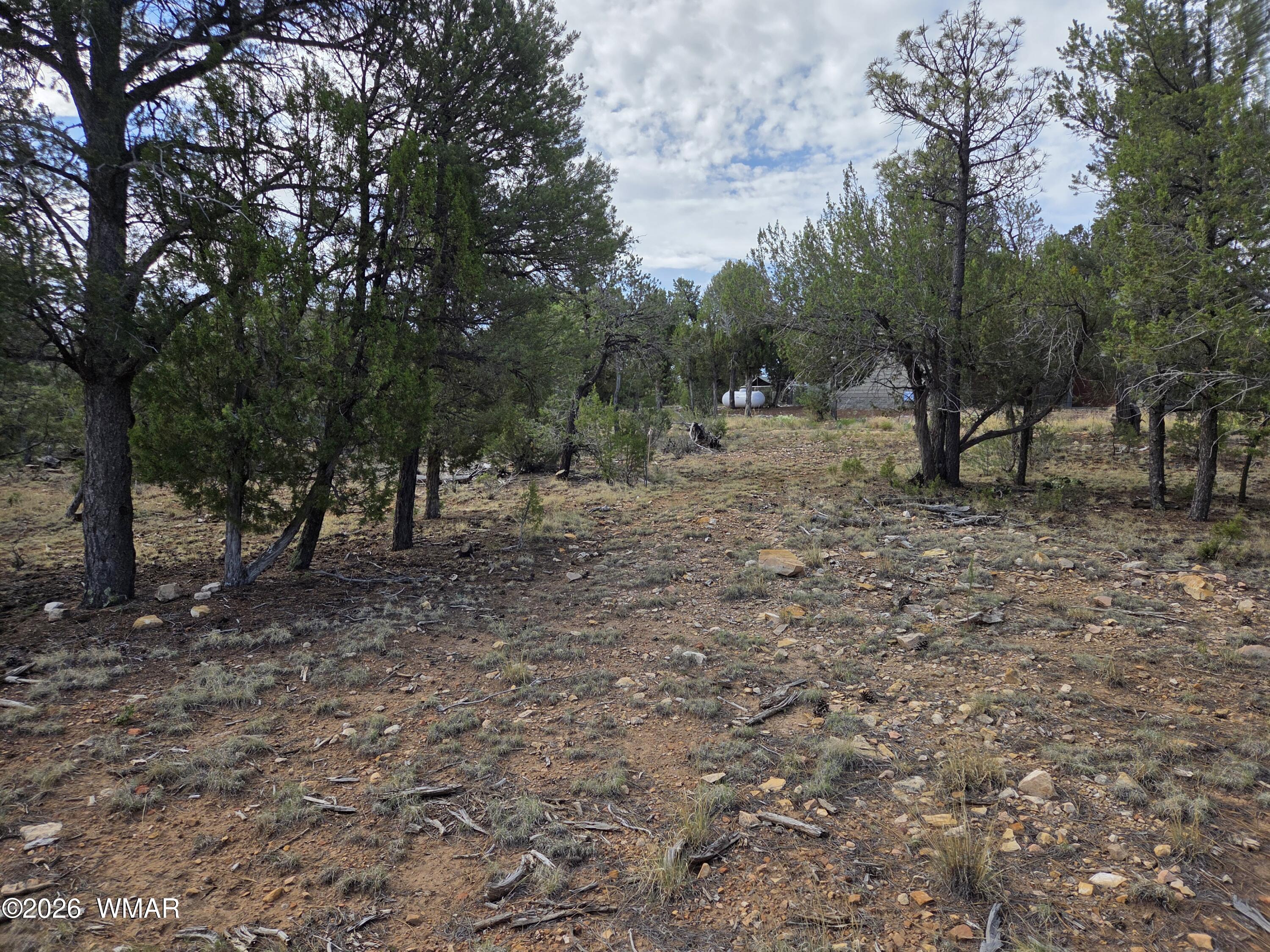 3332 Sawmill Ridge Loop Heber, AZ 85928 - Photo 6 of 12