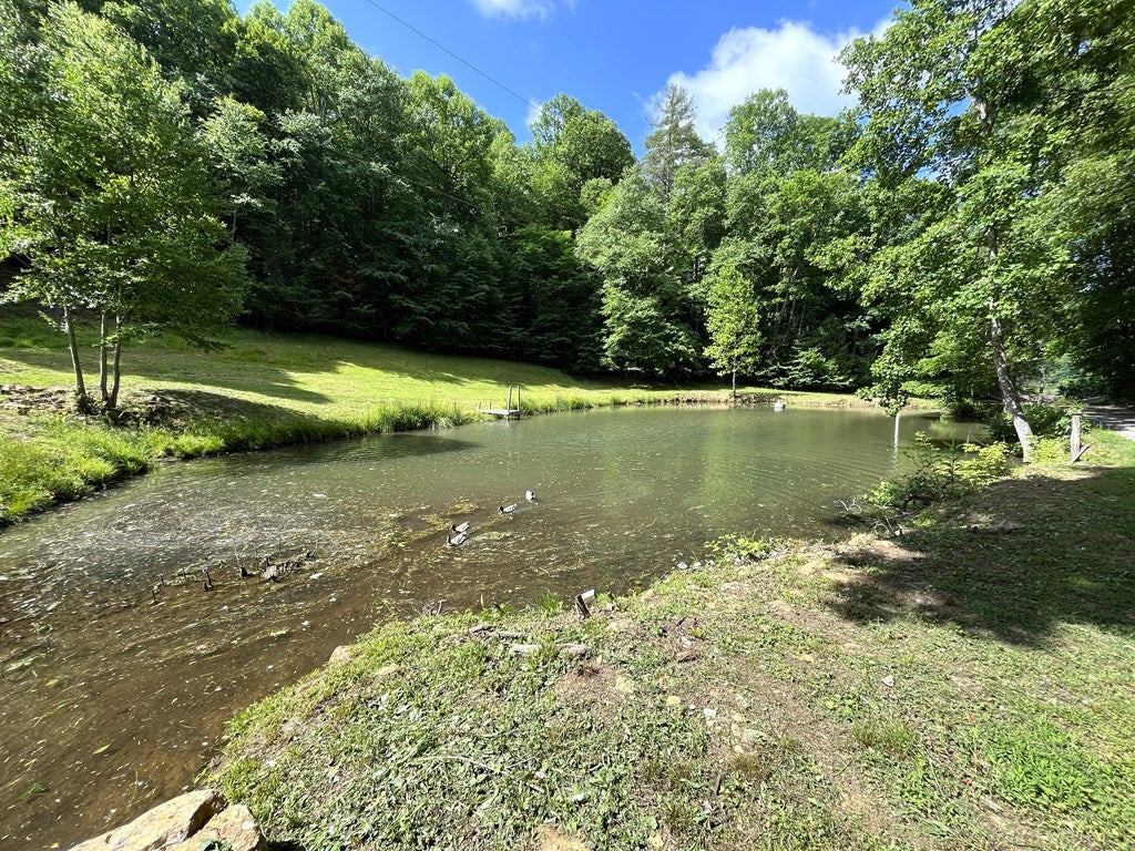 76 Captains Gate Road Willis, VA 24380 - Photo 21 of 50 Gallery Image 21