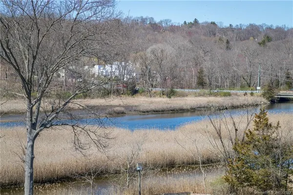 a view of river covered by trees and buildings