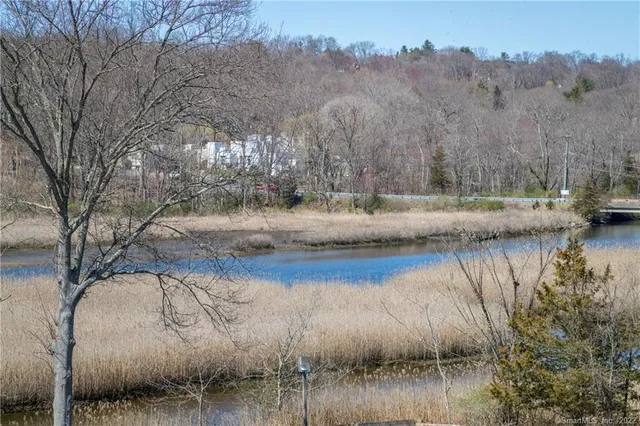 a view of river covered by trees and buildings