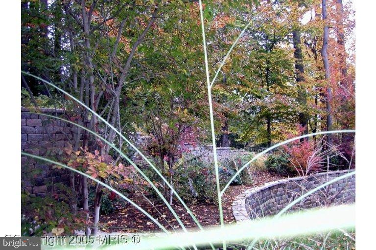 624 Live Oak Drive McLean, VA 22101 - Photo 3 of 10 a view of a backyard