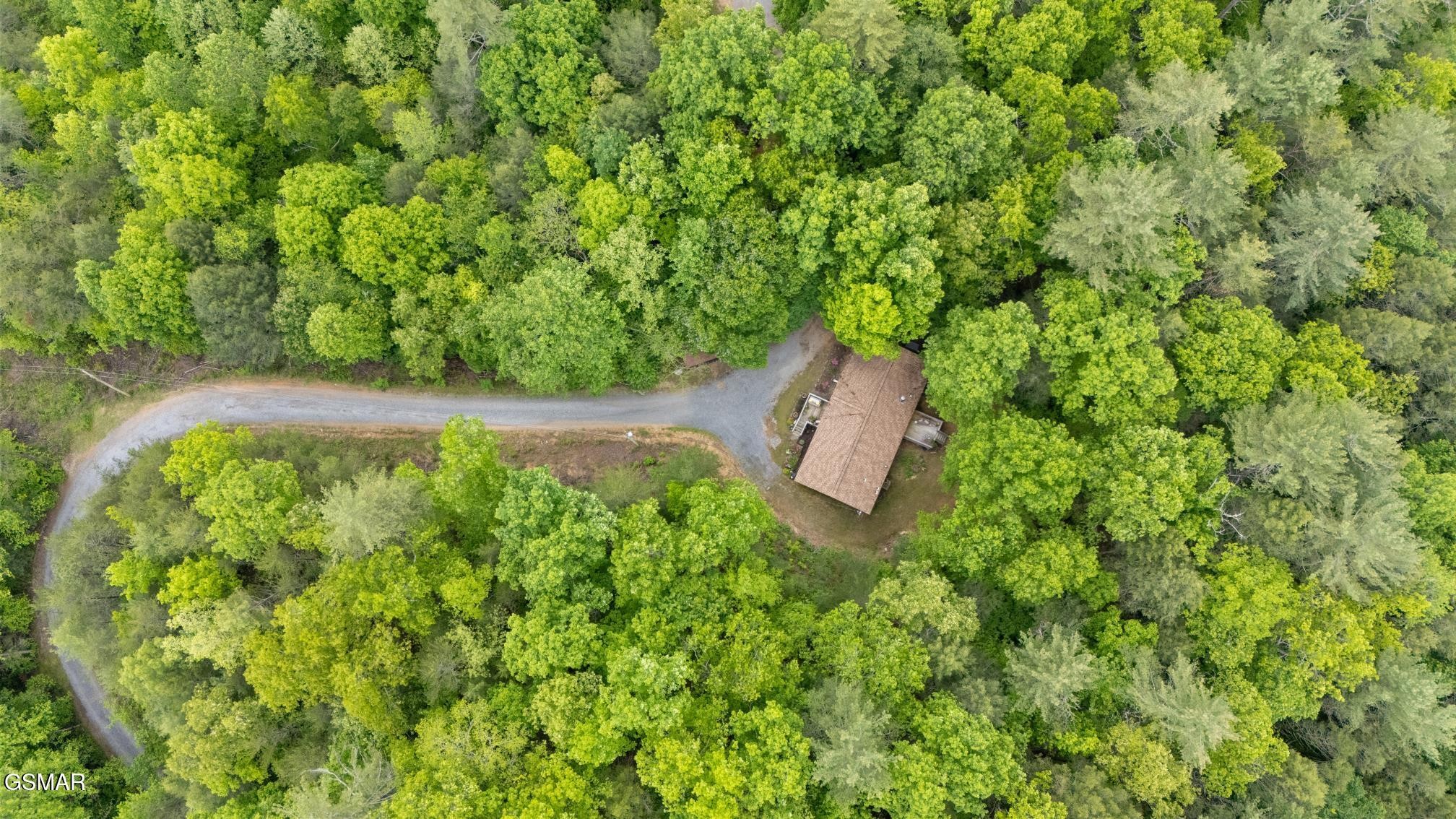 4909 Bogard Road Cosby, TN 37722 - Photo 22 of 23