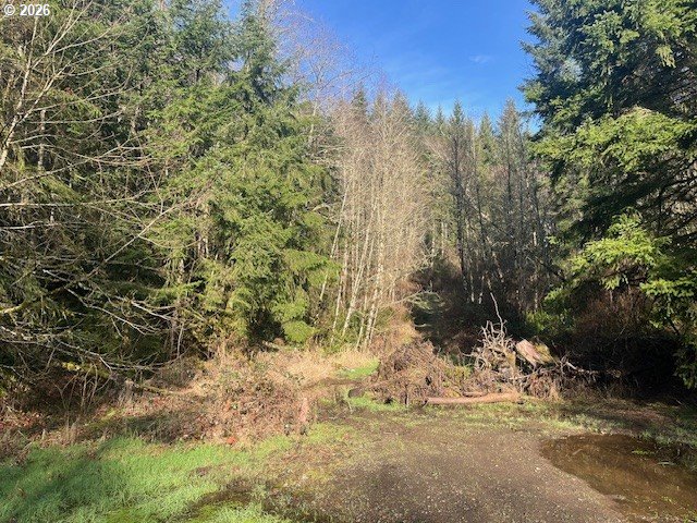 a view of side house with a yard