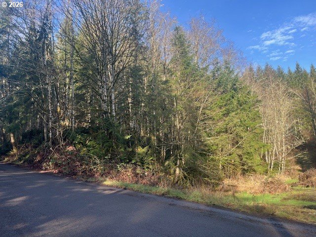 Wolden Road Rainier, OR 97048 - Photo 2 of 2 a view of a yard with a tree