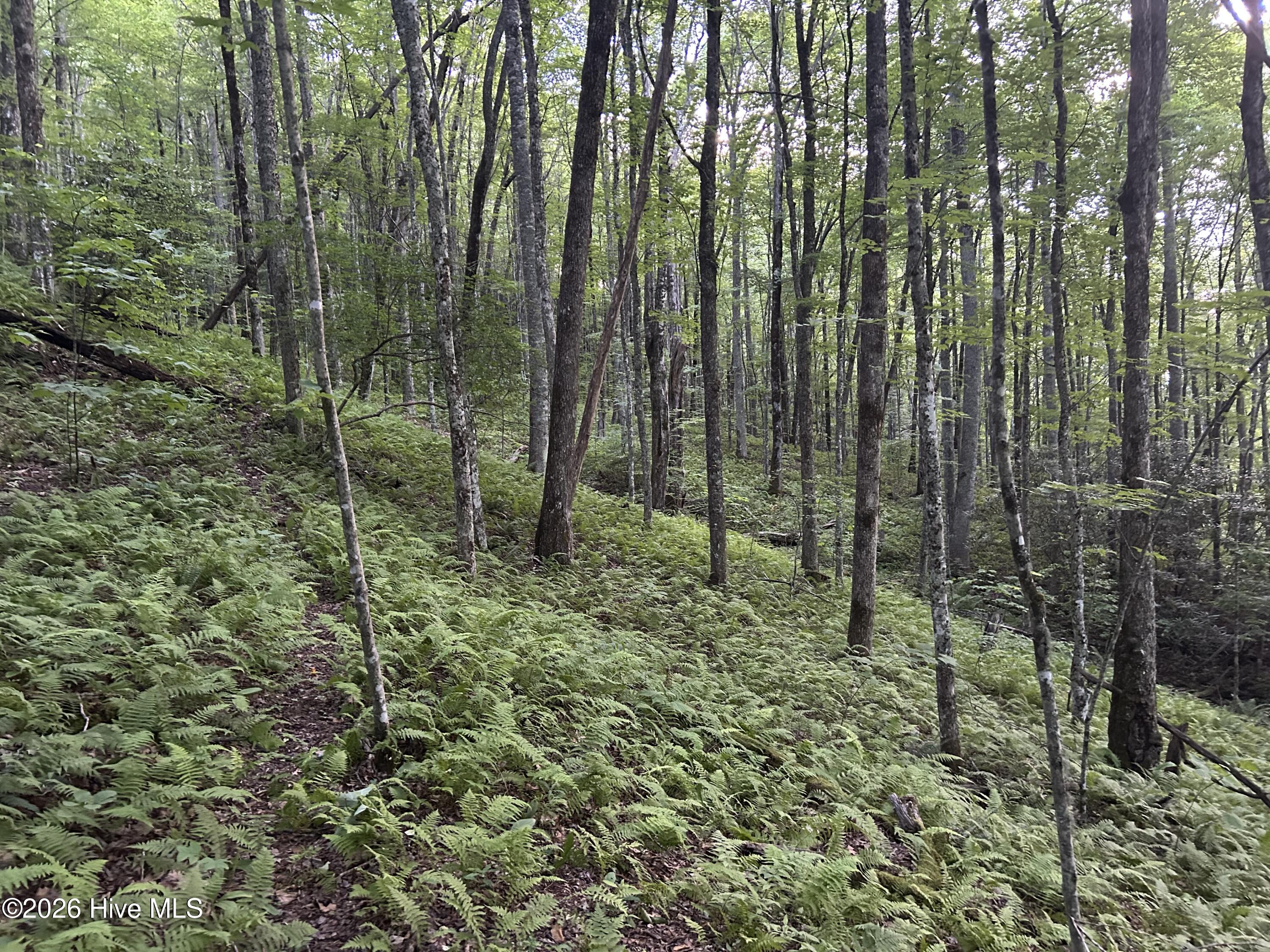 0 Otter Creek Road Topton, NC 28781 - Photo 20 of 20