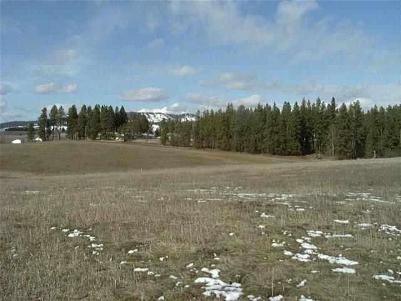 South Sands Road Valleyford, WA 99036 - Photo 1 of 7 Gallery Image 1