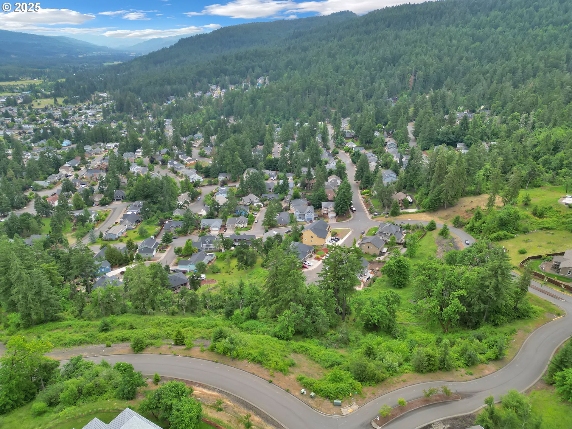 Forest Ridge Springfield, OR 97478 - Photo 12 of 22 a view of a city with lush green forest