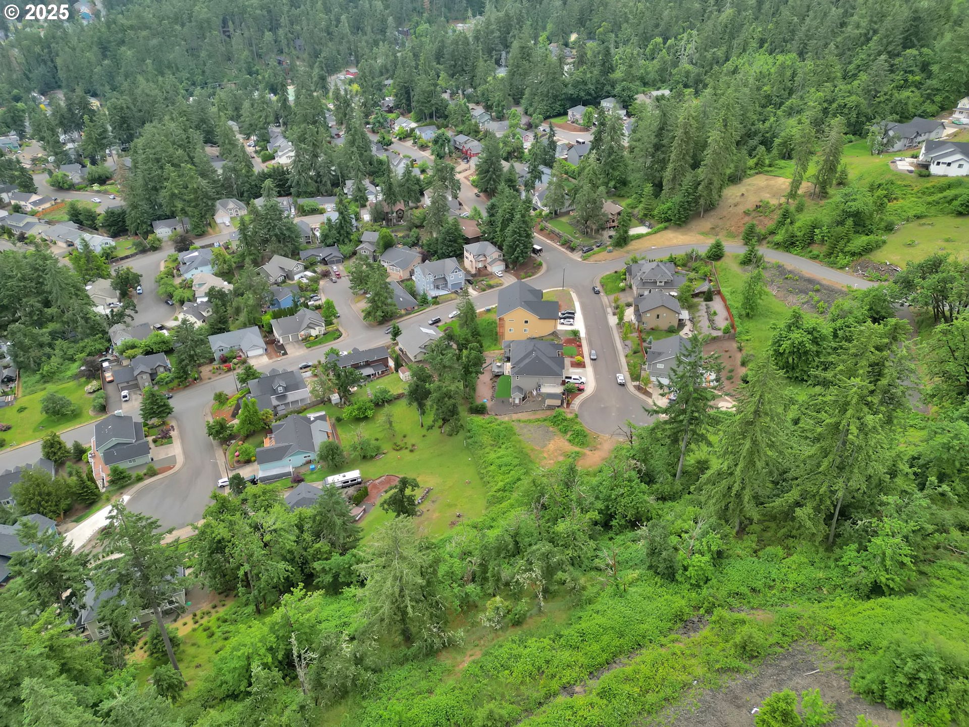 Forest Ridge Springfield, OR 97478 - Photo 13 of 22 an aerial view of residential houses with outdoor space and trees