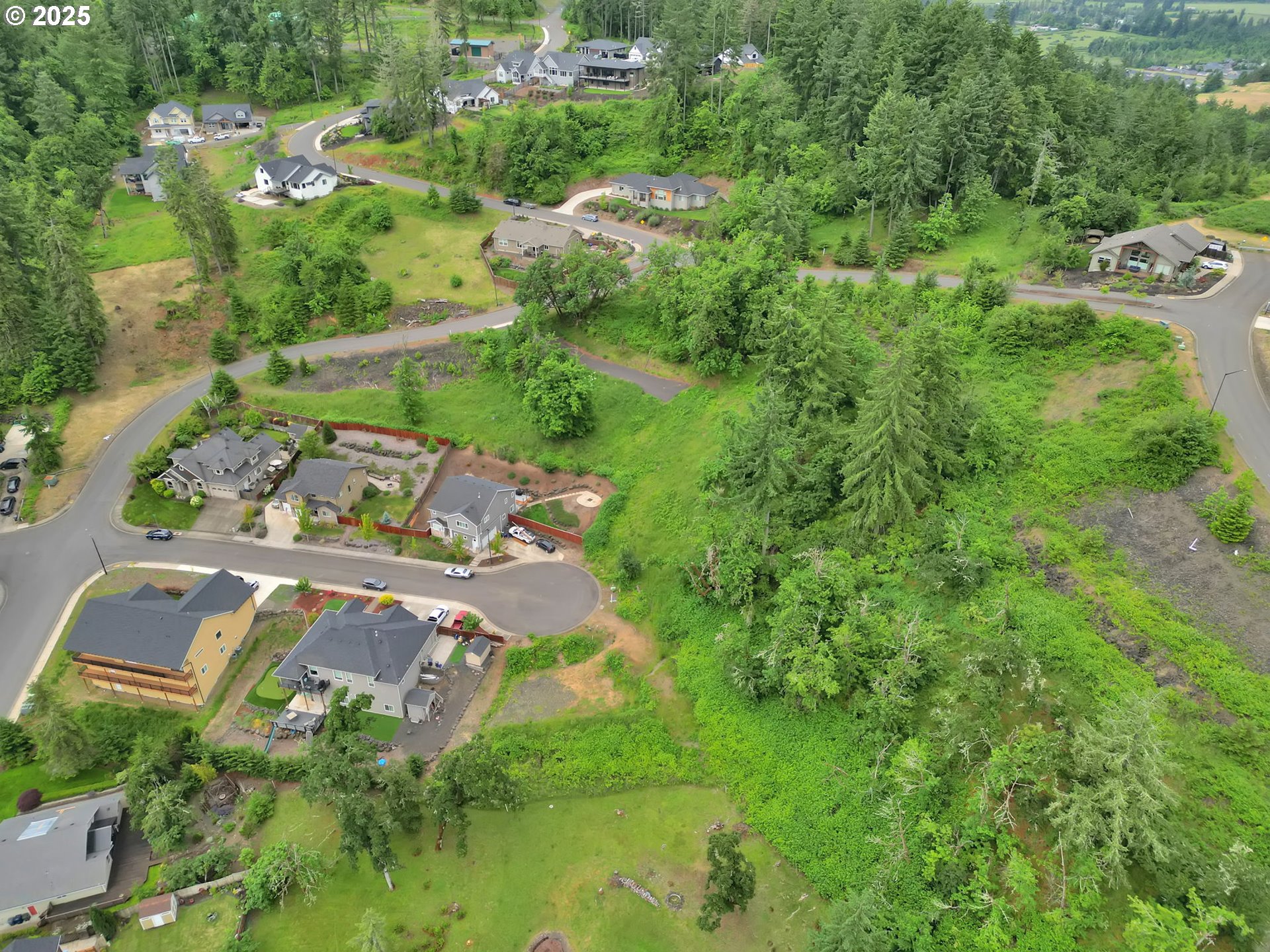 Forest Ridge Springfield, OR 97478 - Photo 14 of 22 an aerial view of a house with a yard