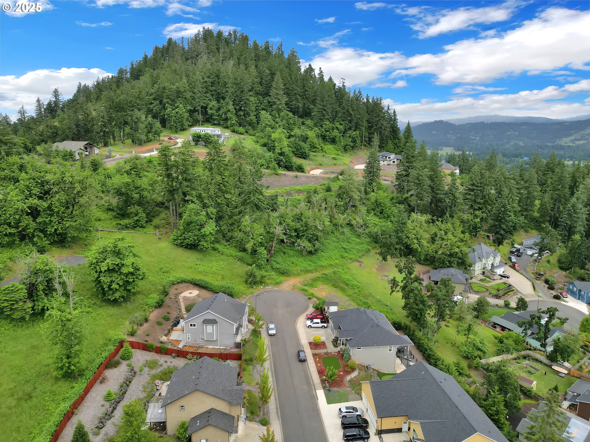 Forest Ridge Springfield, OR 97478 - Photo 16 of 22 an aerial view of a residential houses with outdoor space and street view