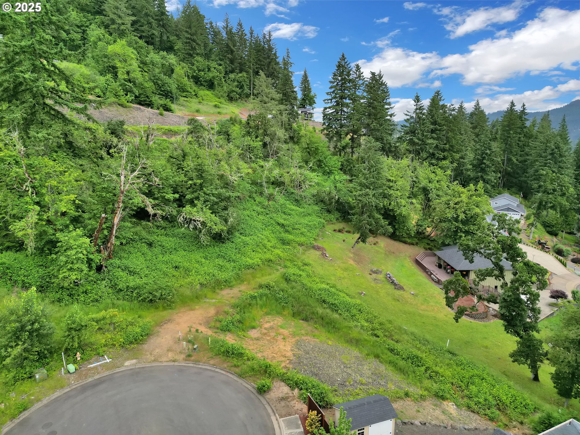 Forest Ridge Springfield, OR 97478 - Photo 17 of 22 a view of a green yard with large trees