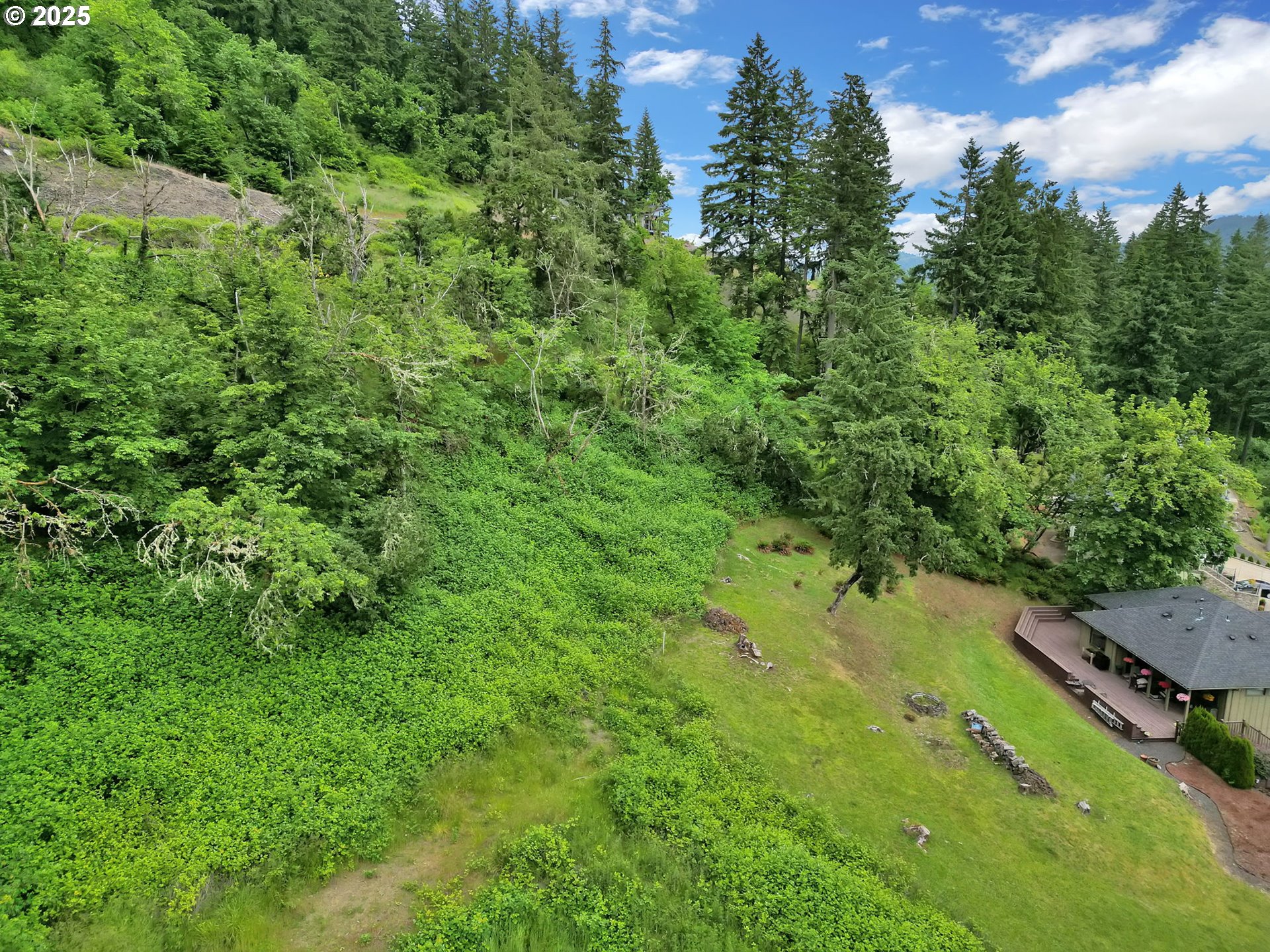 Forest Ridge Springfield, OR 97478 - Photo 18 of 22 an aerial view of a house with a yard
