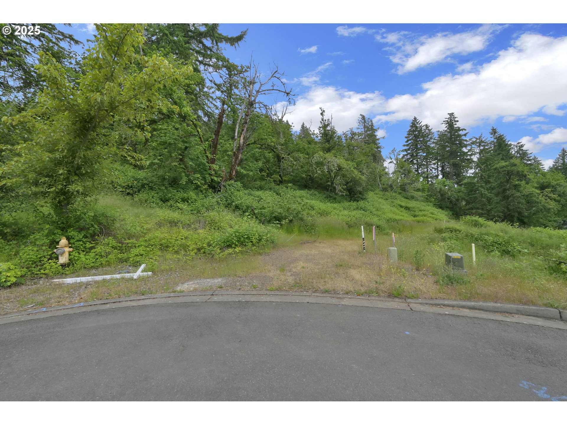 Forest Ridge Springfield, OR 97478 - Photo 22 of 22 a view of a yard with a tree