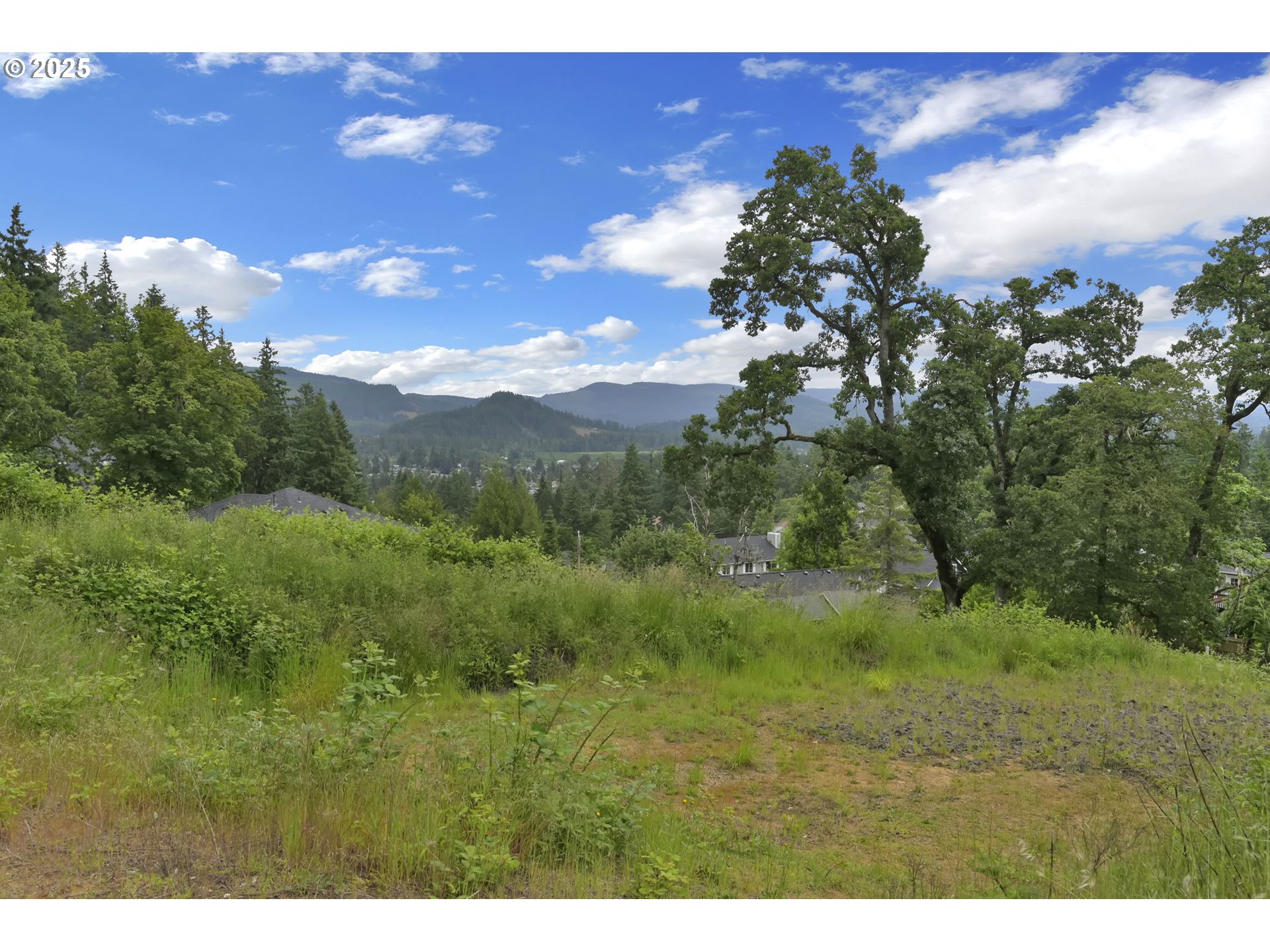 Forest Ridge Springfield, OR 97478 - Photo 5 of 22 a view of outdoor space and mountain view
