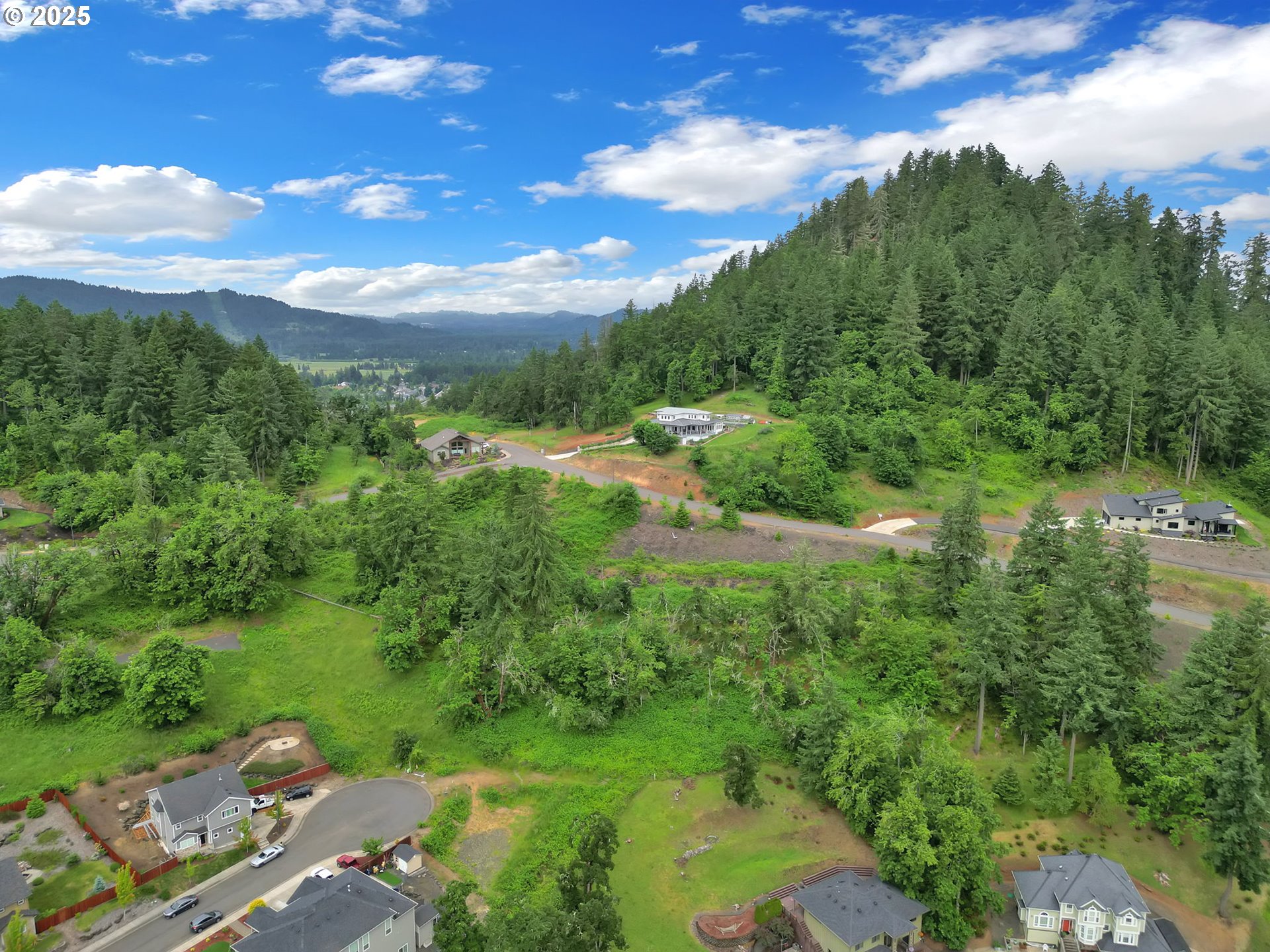 Forest Ridge Springfield, OR 97478 - Photo 7 of 22 a view of a city with lush green forest