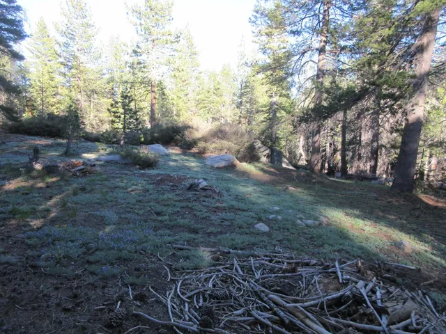 $99,000 | 175 Silver Tip Drive, Unit SHERMAN ACRES LOT 41, Arnold, CA 95223