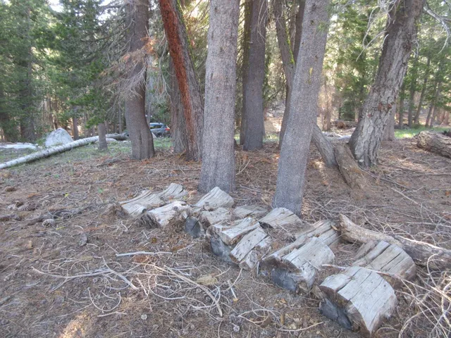 $99,000 | 175 Silver Tip Drive, Unit SHERMAN ACRES LOT 41, Arnold, CA 95223