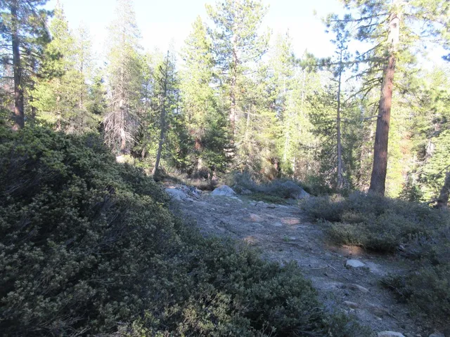 $99,000 | 175 Silver Tip Drive, Unit SHERMAN ACRES LOT 41, Arnold, CA 95223