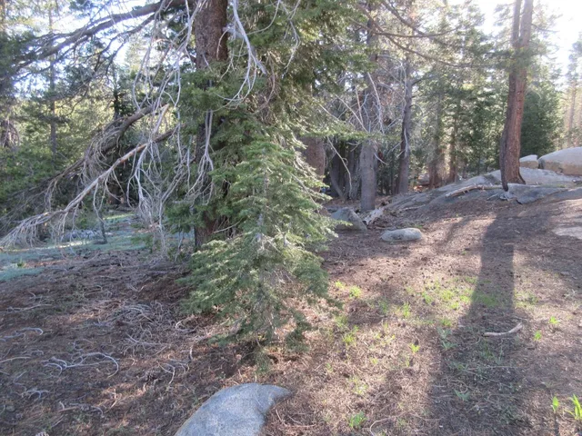 $99,000 | 175 Silver Tip Drive, Unit SHERMAN ACRES LOT 41, Arnold, CA 95223
