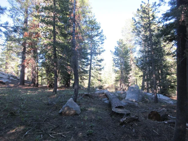 $99,000 | 175 Silver Tip Drive, Unit SHERMAN ACRES LOT 41, Arnold, CA 95223