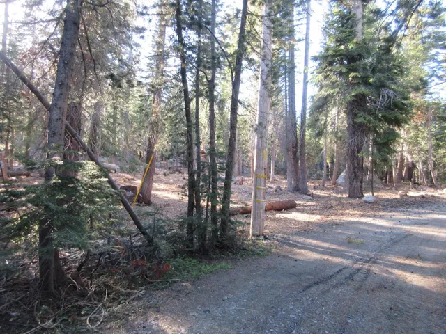 $99,000 | 175 Silver Tip Drive, Unit SHERMAN ACRES LOT 41, Arnold, CA 95223
