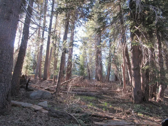 $99,000 | 175 Silver Tip Drive, Unit SHERMAN ACRES LOT 41, Arnold, CA 95223