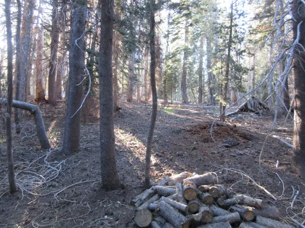 $99,000 | 175 Silver Tip Drive, Unit SHERMAN ACRES LOT 41, Arnold, CA 95223