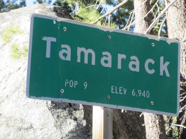 $99,000 | 175 Silver Tip Drive, Unit SHERMAN ACRES LOT 41, Arnold, CA 95223