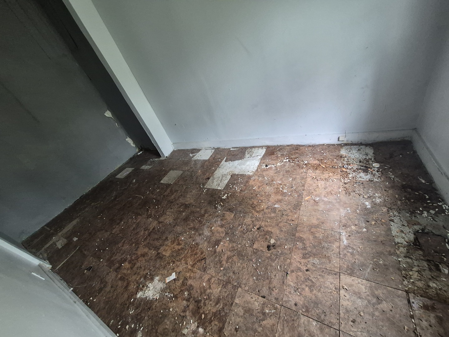 7331 South Peoria Street Chicago, IL 60621 - Photo 4 of 15
