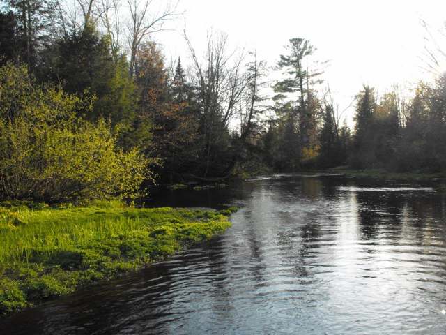 W10570 Bluebell Road Antigo, WI 54409 - Photo 6 of 20 Gallery Image 6
