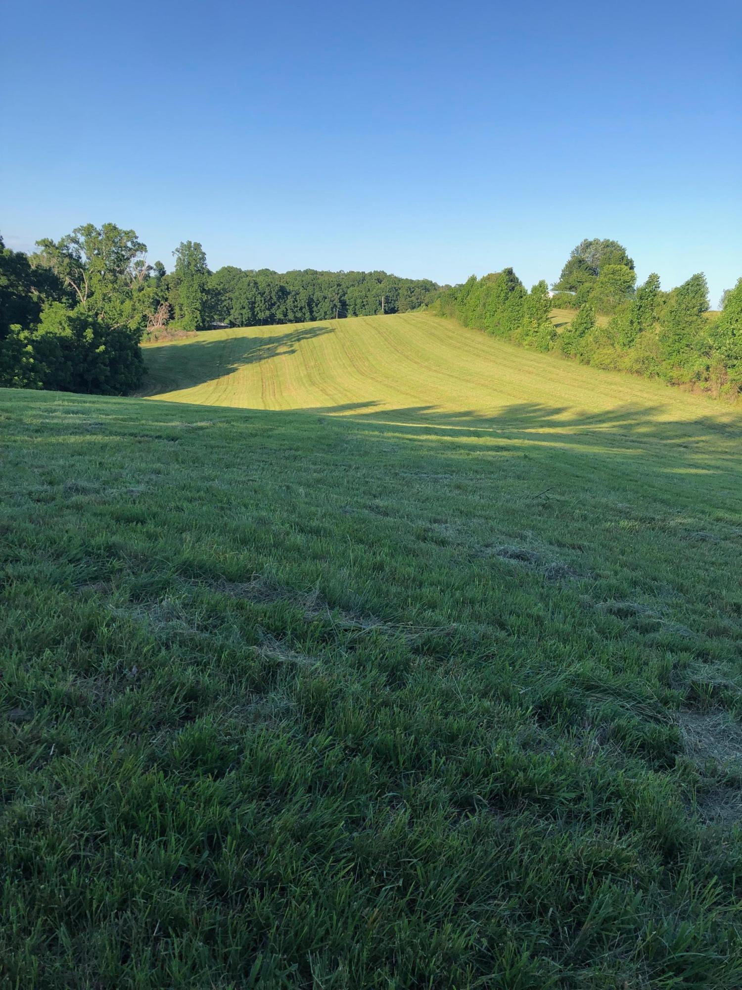 705 County Road Athens, TN 37303 - Photo 2 of 5 IMG-1122