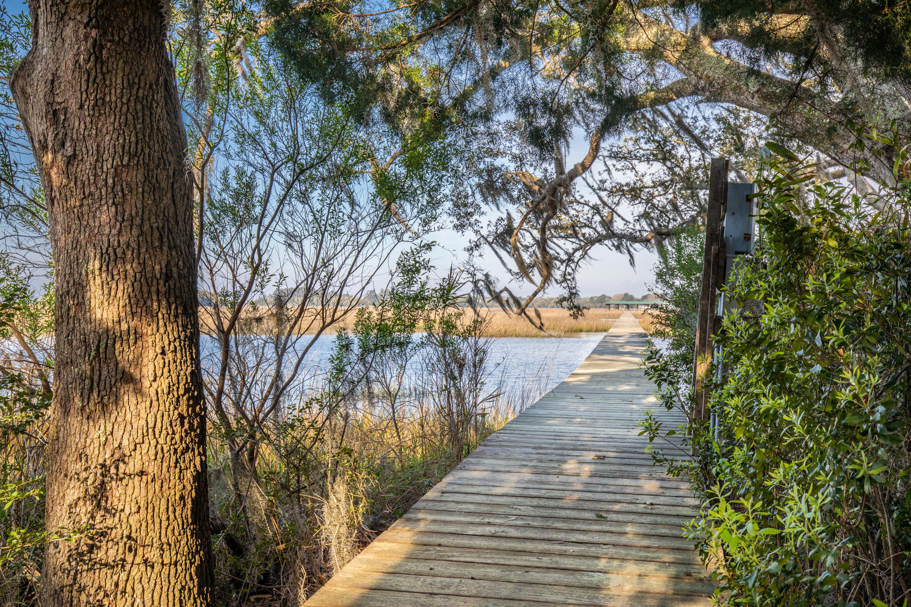 5150 Chisolm Road Johns Island, SC 29455 - Photo 53 of 62 Private Dock