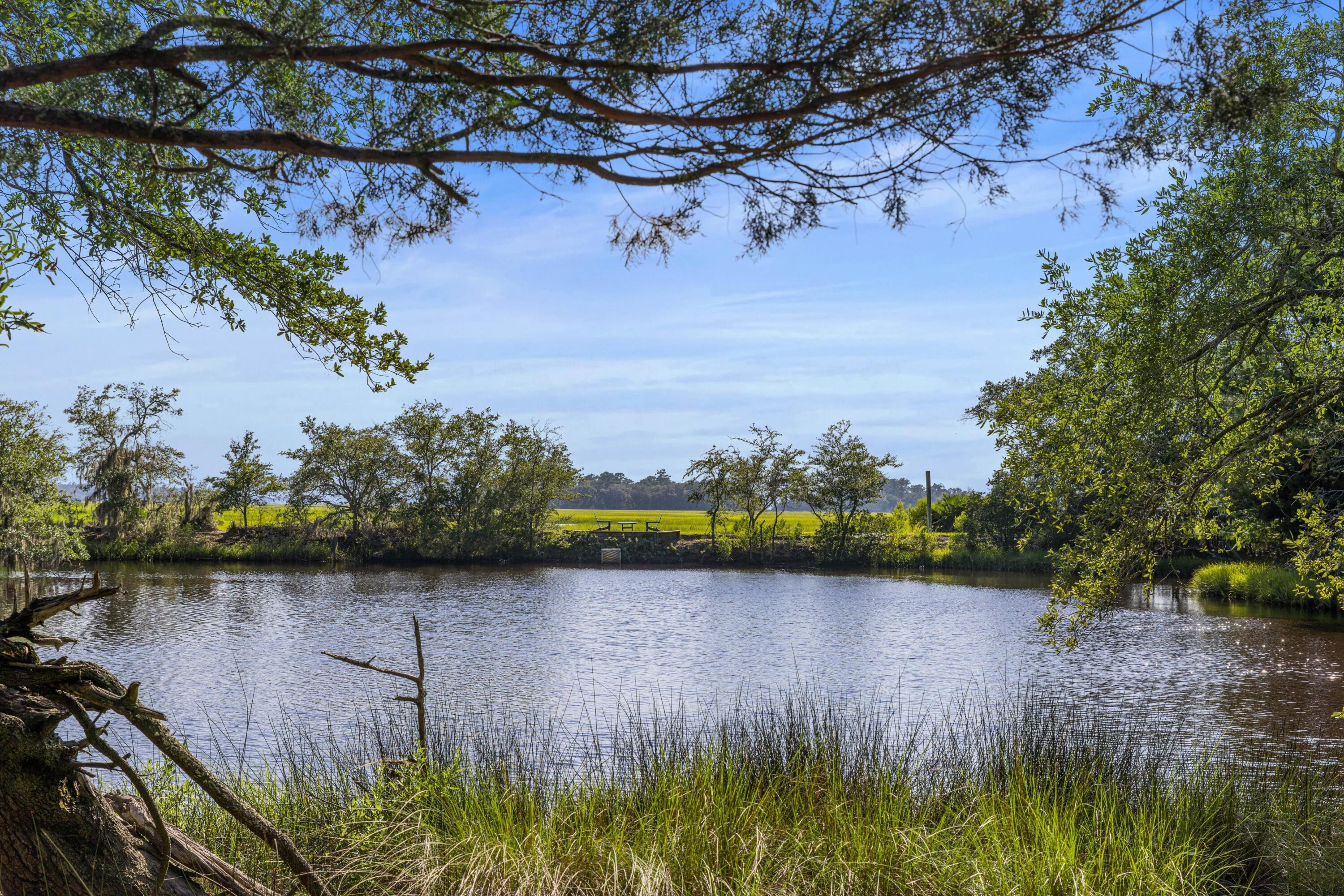 5150 Chisolm Road Johns Island, SC 29455 - Photo 57 of 62 Fully stocked pond