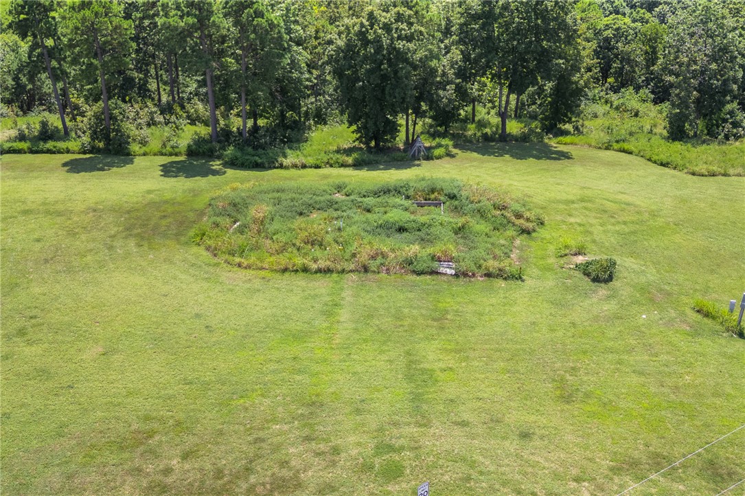 1637 Grassy Gap Road Harrison, AR 72601 - Photo 28 of 43 Gallery Image 28