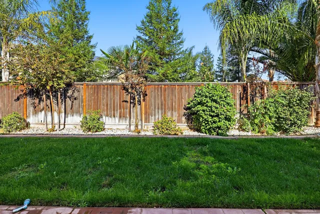 a view of a back yard