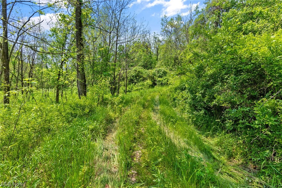 665 Tadpole Run Road Belpre, OH 45714 - Photo 9 of 14 Gallery Image 9